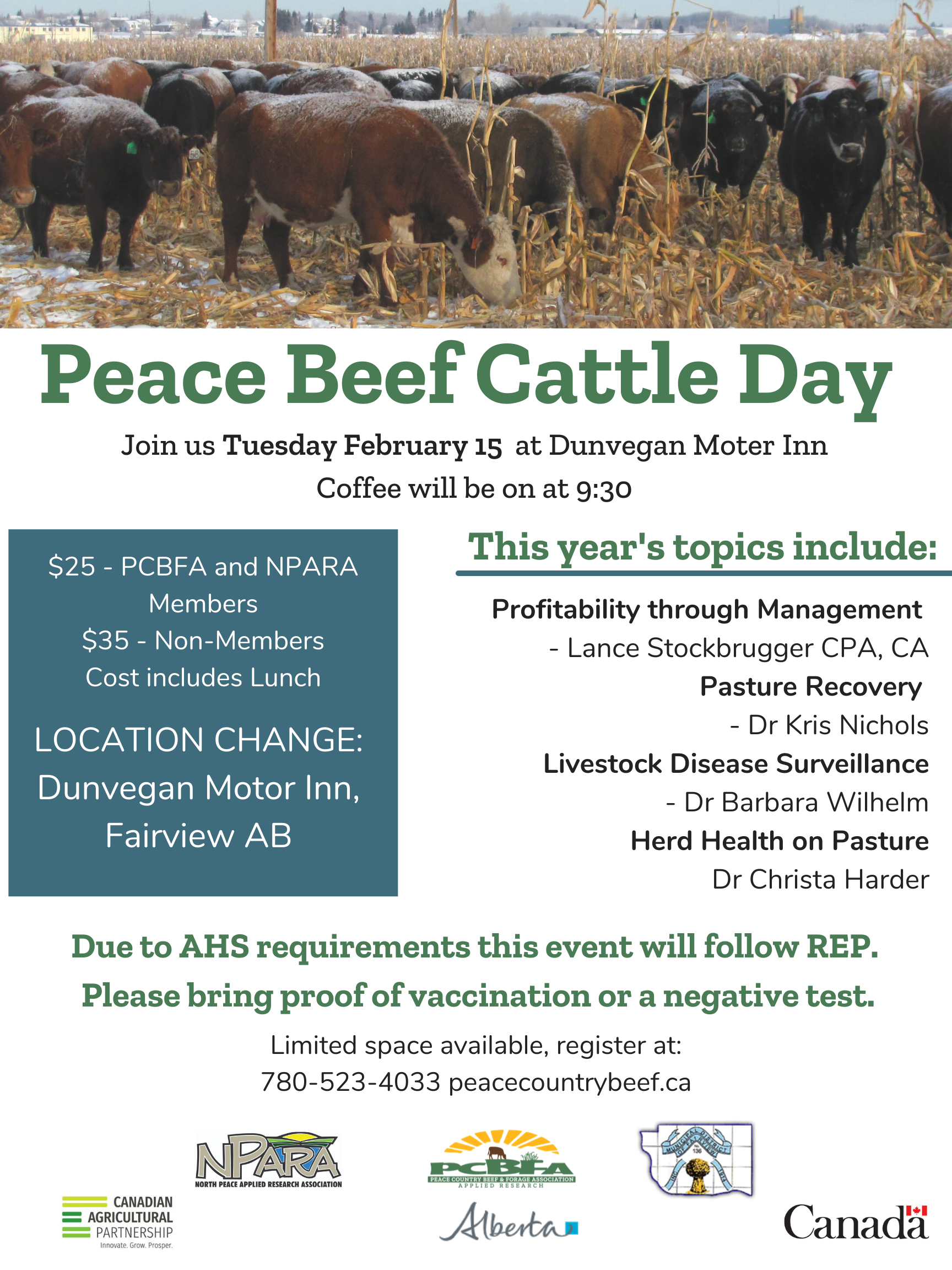 Peace Beef Cattle Day(10) (002)