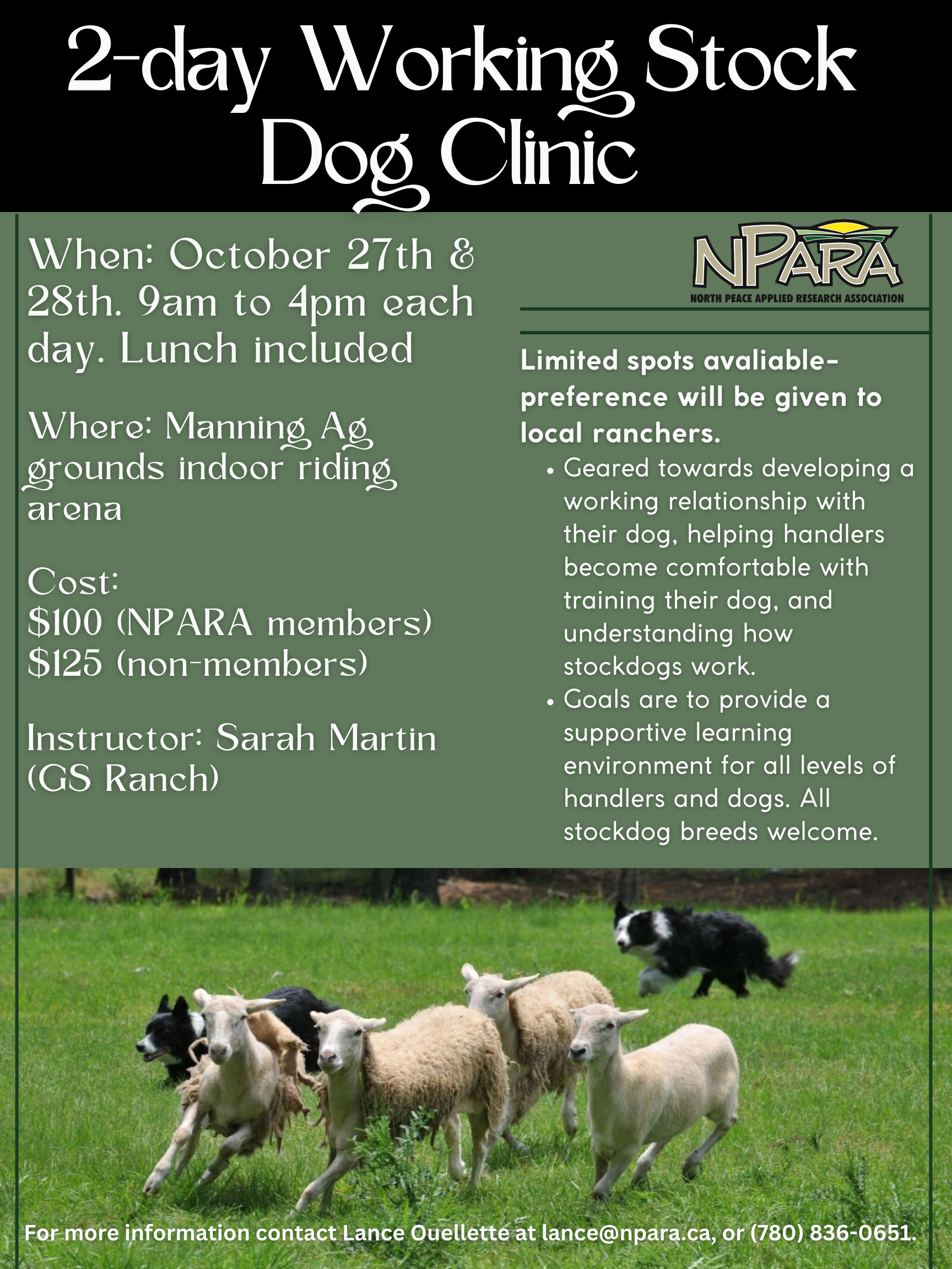 working stock dog clinic (3)