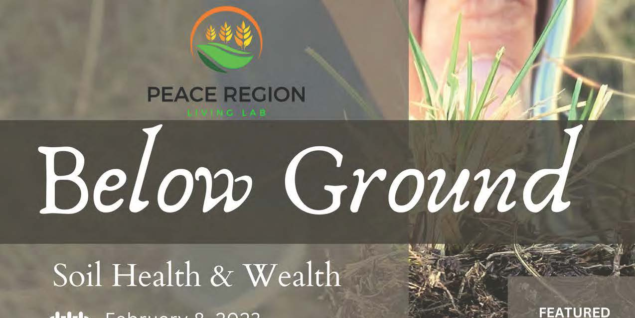 Below Ground - Soil Health & Wealth