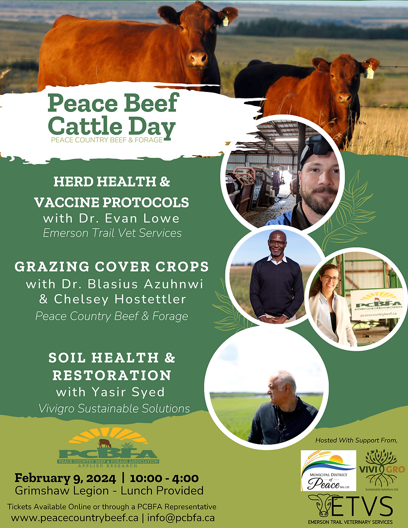 Peace Beef Cattle Day Poster