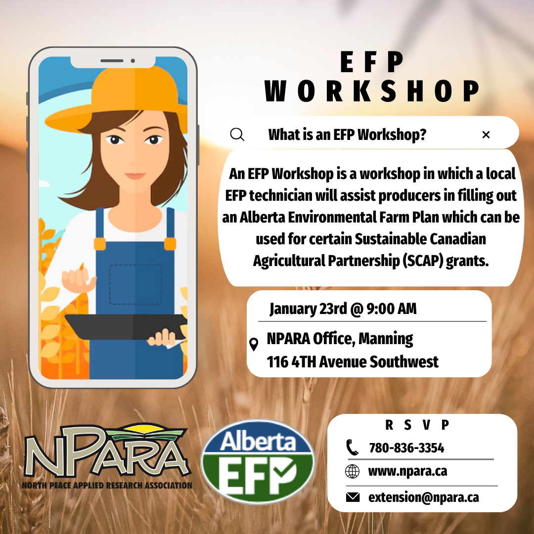 EFP Workshop Instagram Post