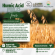Humid Acid Tour prll