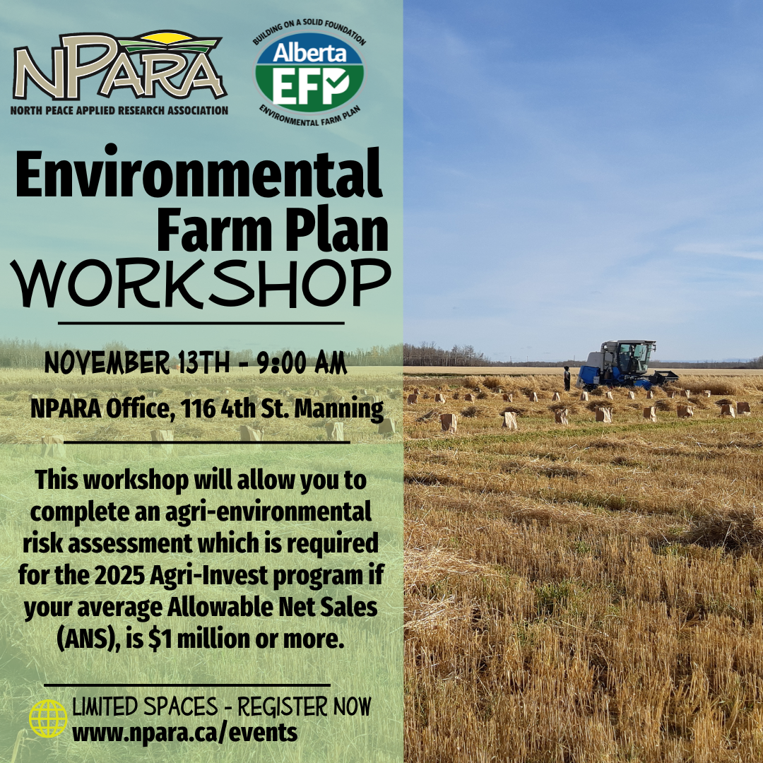 efp workshop (november