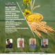 2025 Peace Ag Update (2)