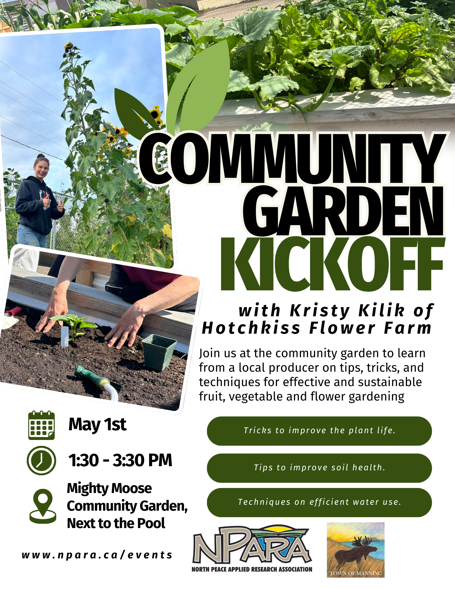 Community garden