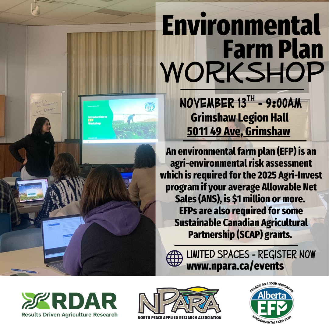 EFP Workshop NOV. 13th